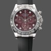 Replica Rolex Cosmograph Daytona 40MM White Gold Rare Rubellite Dial 116509 Rubber Strap